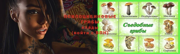 ПСИЛОЦИБИНОВЫЕ ГРИБЫ Белокуриха