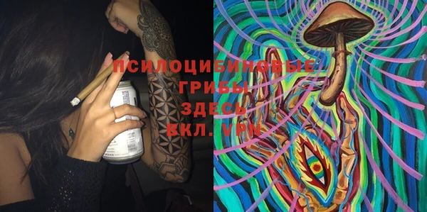 ПСИЛОЦИБИНОВЫЕ ГРИБЫ Белокуриха