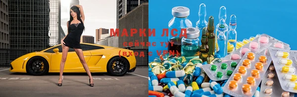 ПСИЛОЦИБИНОВЫЕ ГРИБЫ Белокуриха