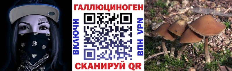 закладки  Буйнакск  Галлюциногенные грибы мицелий 